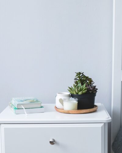 Home interior. Home plant