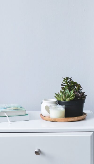Home interior. Home plant